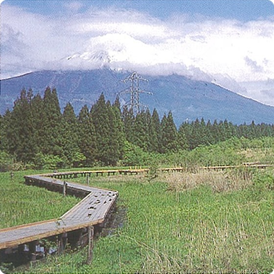 小田貫湿原